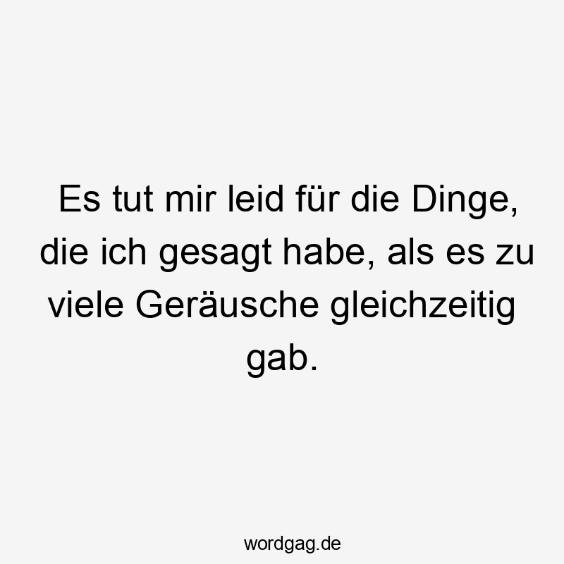 Es tut mir leid für die Dinge, die ich gesagt habe, als es zu viele Geräusche gleichzeitig gab.