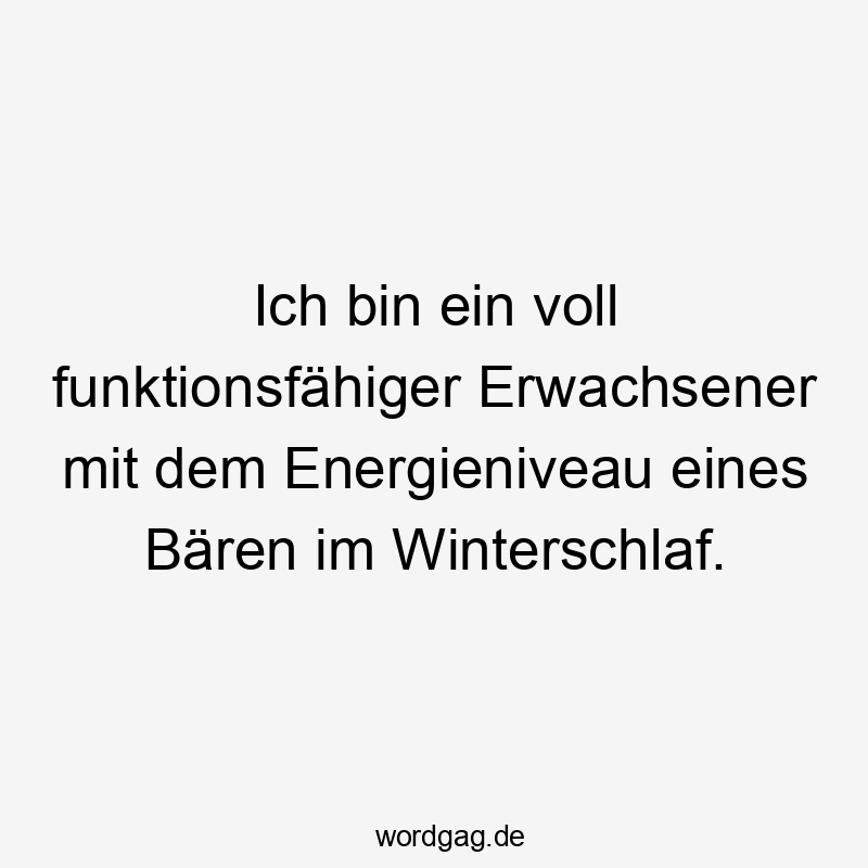 Lustige Sprüche: Selbstironie - Ich bin ein voll funktionsfähiger Erwachsener mit dem Energieniveau eines Bären im Winterschlaf.