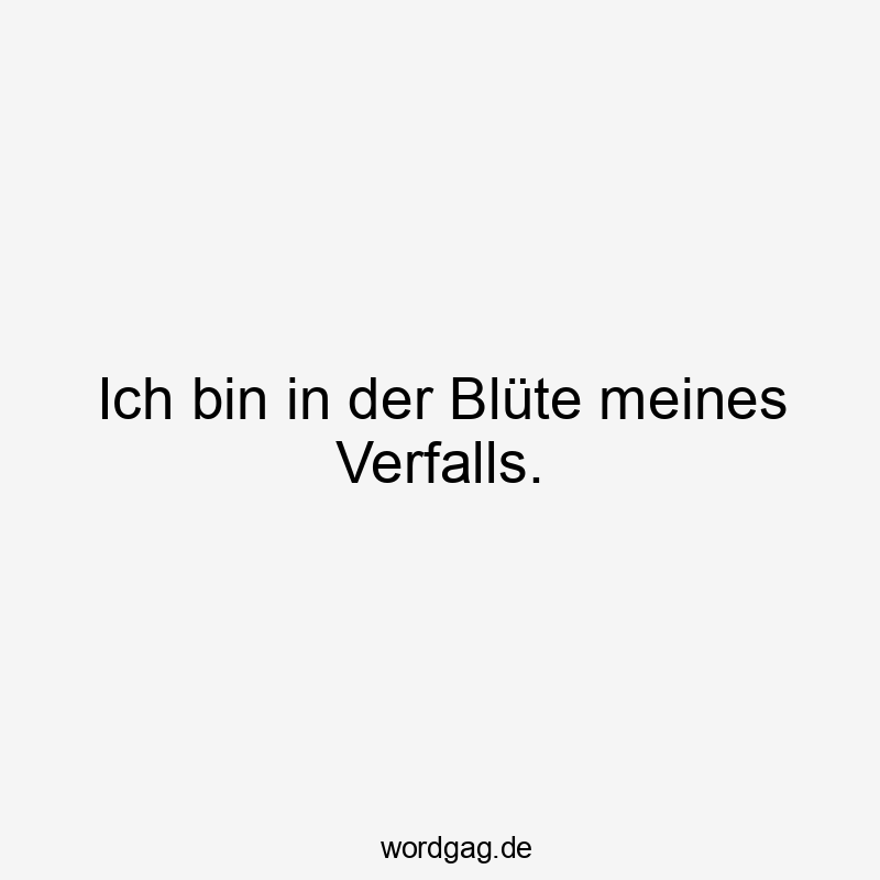 Ich bin in der Blüte meines Verfalls.