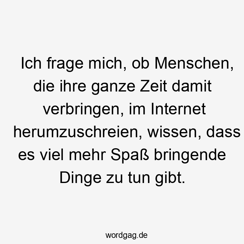 Zeit - Ich frage mich, ob Menschen, die ihre ganze Zeit damit verbringen, im Internet herumzuschreien, wissen, dass es viel mehr Spaß bringende Dinge zu tun gibt.