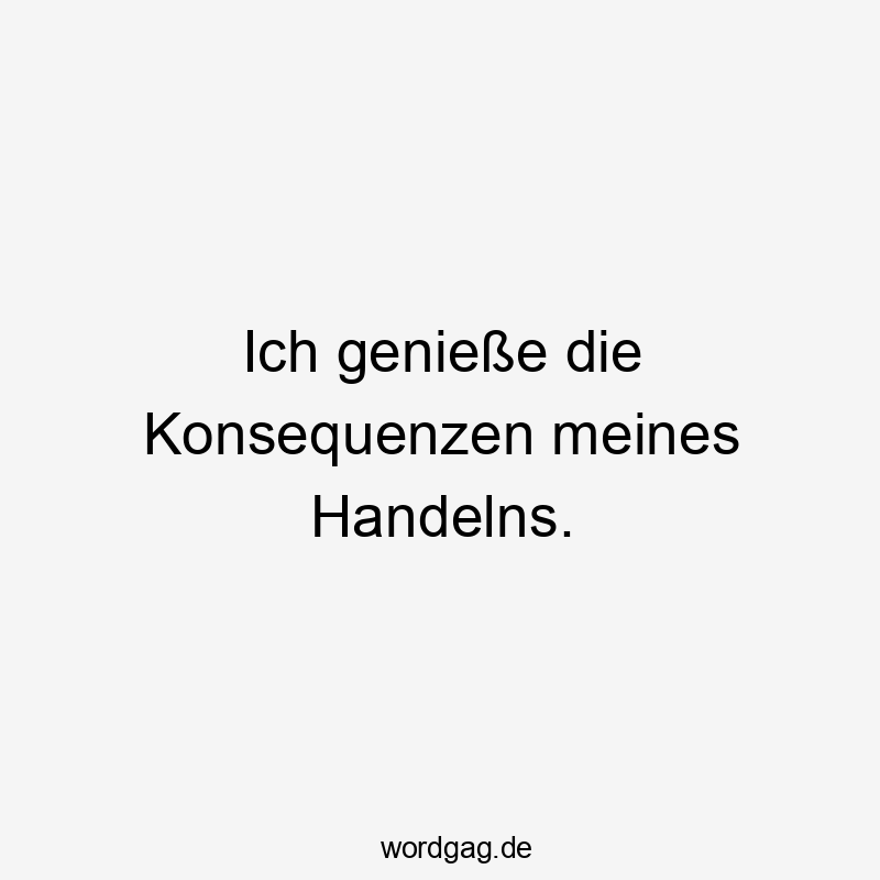 Lustige Konsequenzen Sprüche - Ich genieße die Konsequenzen meines Handelns.