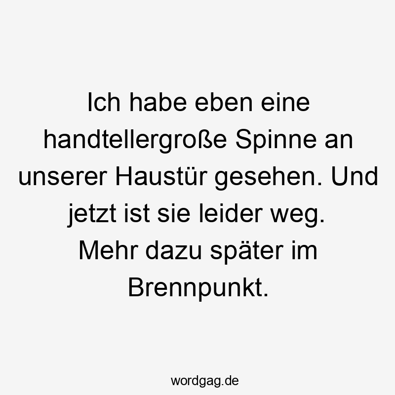 15 Lustige Spinne Sprüche - Ich habe eben eine handtellergroße Spinne an unserer Haustür gesehen. Und jetzt ist sie leider weg. Mehr dazu später im Brennpunkt.