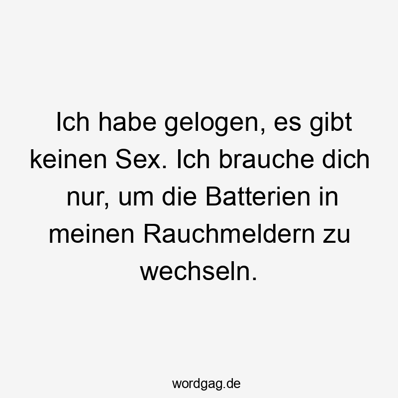 Lustige Rauchmelder Sprüche - Ich habe gelogen, es gibt keinen Sex. Ich brauche dich nur, um die Batterien in meinen Rauchmeldern zu wechseln.