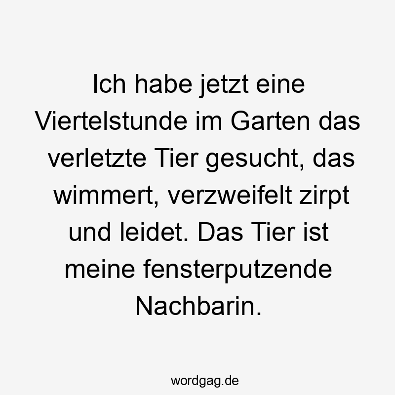 Ich habe jetzt eine Viertelstunde im Garten das verletzte Tier gesucht, das wimmert, verzweifelt zirpt und leidet. Das Tier ist meine fensterputzende Nachbarin.