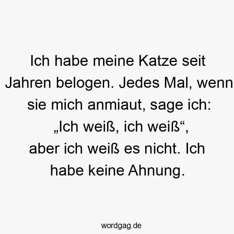 Ich habe meine Katze seit Jahren belogen. Jedes Mal, wenn sie mich anmiaut, sage ich: „Ich weiß, ich weiß“, aber ich weiß es nicht. Ich habe keine Ahnung.