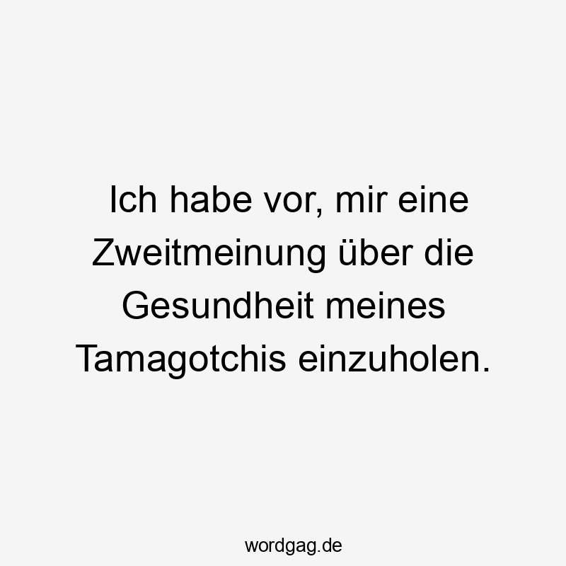 Ich habe vor, mir eine Zweitmeinung über die Gesundheit meines Tamagotchis einzuholen.