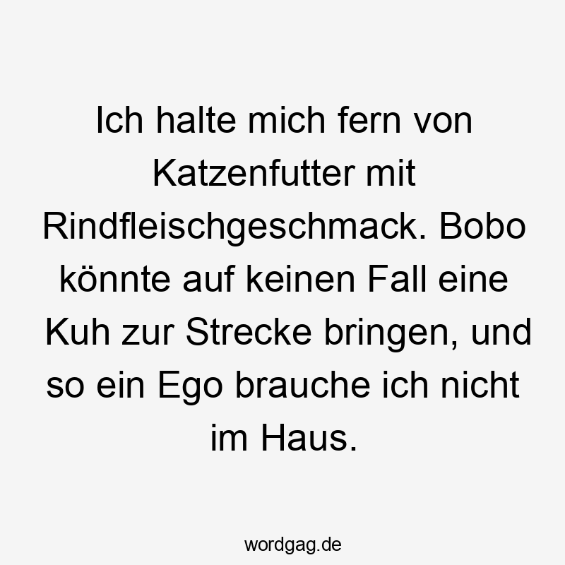 Lustige keinen Sprüche - Ich halte mich fern von Katzenfutter mit Rindfleischgeschmack. Bobo könnte auf keinen Fall eine Kuh zur Strecke bringen, und so ein Ego brauche ich nicht im Haus.