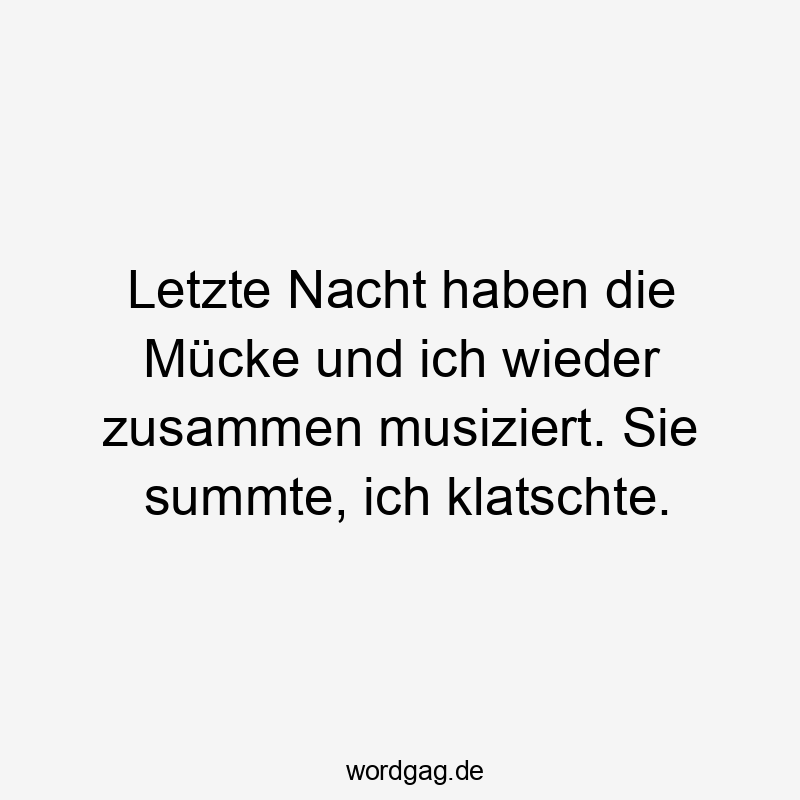 Letzte Nacht haben die Mücke und ich wieder zusammen musiziert. Sie summte, ich klatschte.