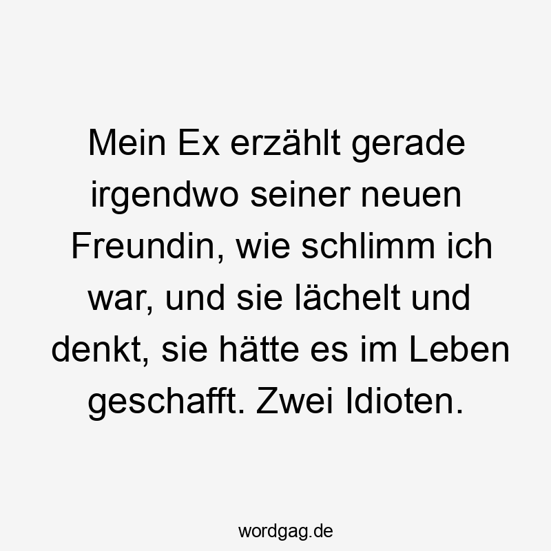 Lustige Sprüche: Freundin - Mein Ex erzählt gerade irgendwo seiner neuen Freundin, wie schlimm ich war, und sie lächelt und denkt, sie hätte es im Leben geschafft. Zwei Idioten.