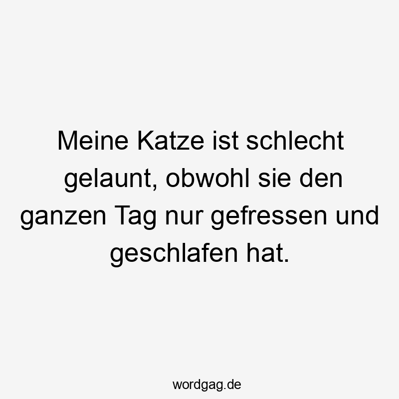 11 Lustige schlecht gelaunt Sprüche - Meine Katze ist schlecht gelaunt, obwohl sie den ganzen Tag nur gefressen und geschlafen hat.