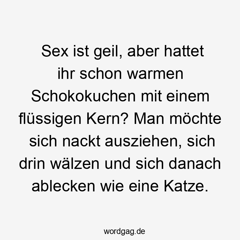 Sex ist geil, aber hattet ihr schon warmen Schokokuchen mit einem flüssigen Kern? Man möchte sich nackt ausziehen, sich drin wälzen und sich danach ablecken wie eine Katze.
