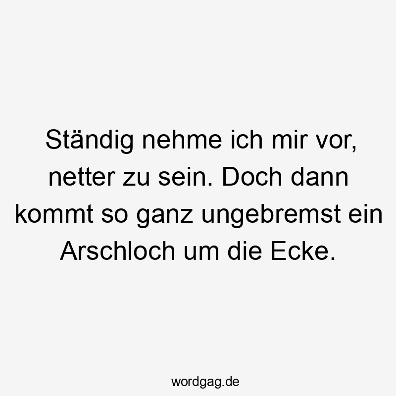 Lustige Sprüche: doch - Ständig nehme ich mir vor, netter zu sein. Doch dann kommt so ganz ungebremst ein Arschloch um die Ecke.