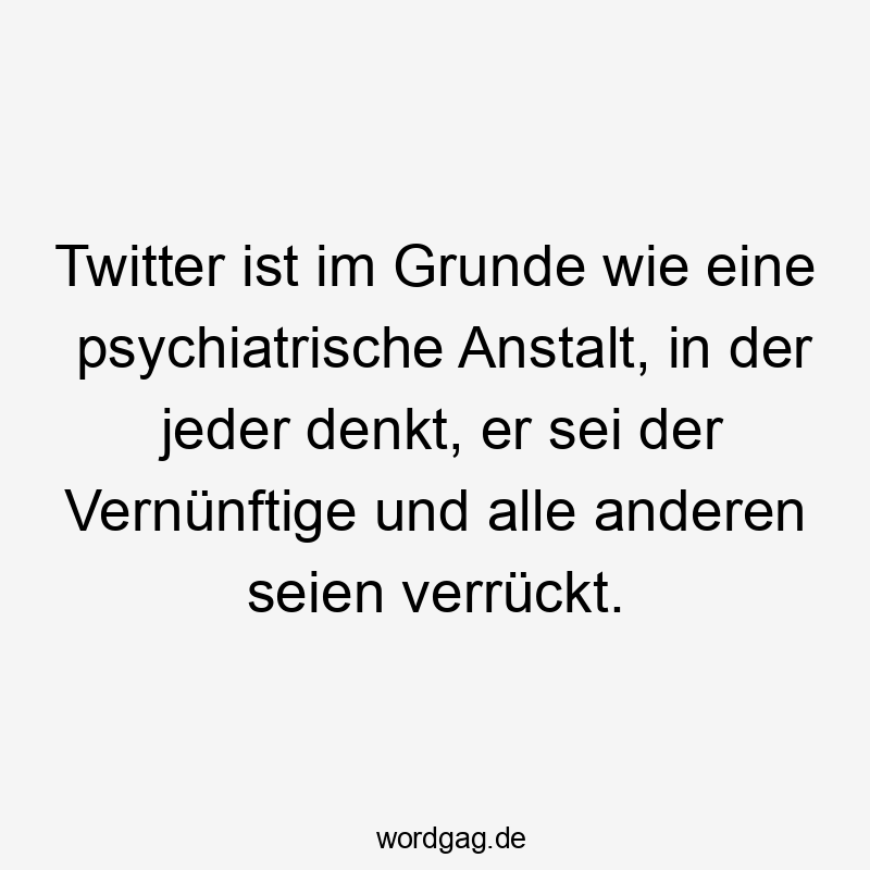 Lustige Sprüche: Twitter - Twitter ist im Grunde wie eine psychiatrische Anstalt, in der jeder denkt, er sei der Vernünftige und alle anderen seien verrückt.