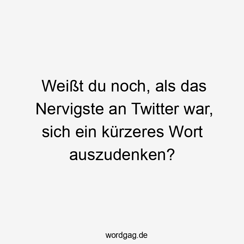 Lustige Kürze Sprüche - Weißt du noch, als das Nervigste an Twitter war, sich ein kürzeres Wort auszudenken?