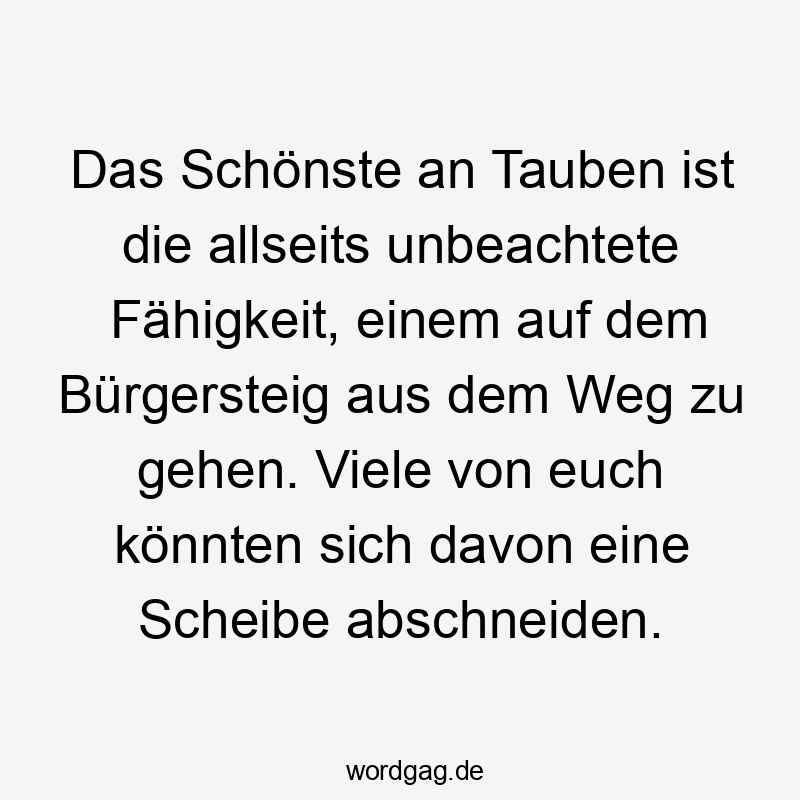 Alltag - Das Schönste an Tauben ist die allseits unbeachtete Fähigkeit, einem auf dem Bürgersteig aus dem Weg zu gehen. Viele von euch könnten sich davon eine Scheibe abschneiden.