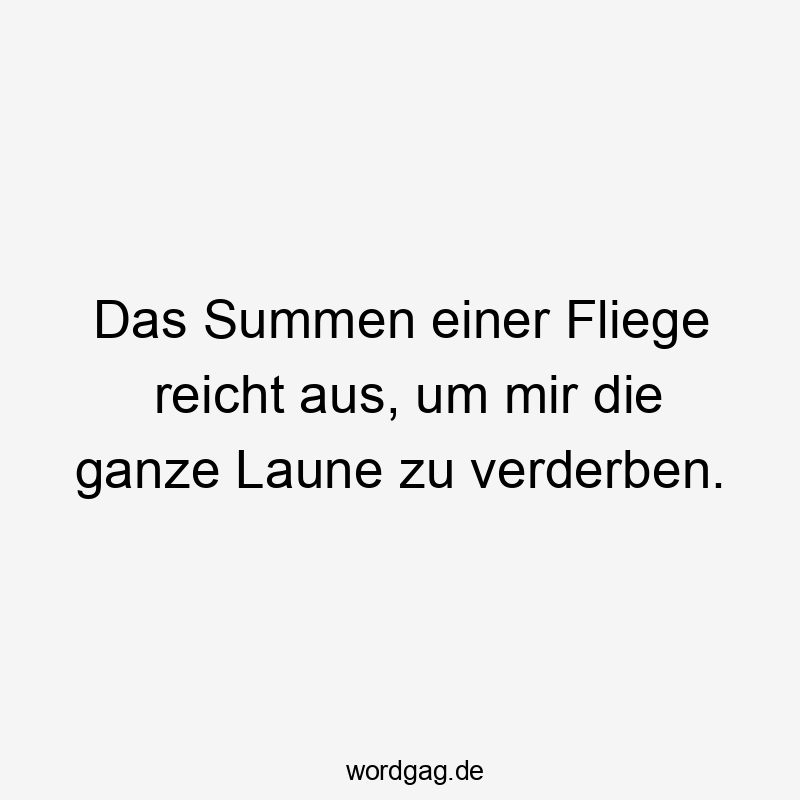 Das Summen einer Fliege reicht aus, um mir die ganze Laune zu verderben.