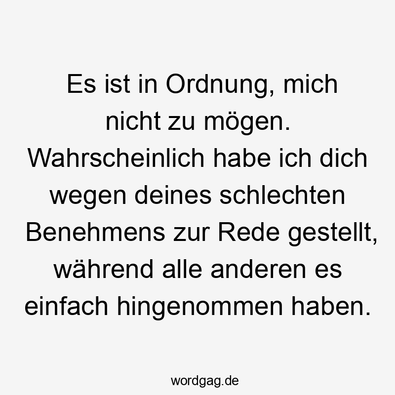 nicht - Es ist in Ordnung, mich nicht zu mögen. Wahrscheinlich habe ich dich wegen deines schlechten Benehmens zur Rede gestellt, während alle anderen es einfach hingenommen haben.
