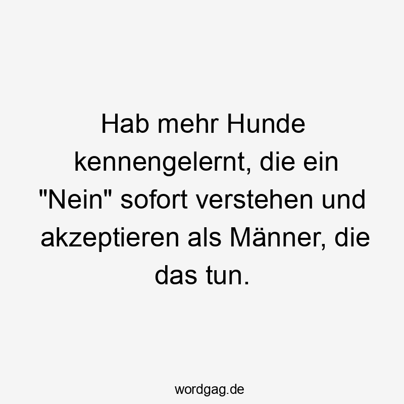 Lustige Sprüche: Männer - Hab mehr Hunde kennengelernt, die ein „Nein“ sofort verstehen und akzeptieren als Männer, die das tun.