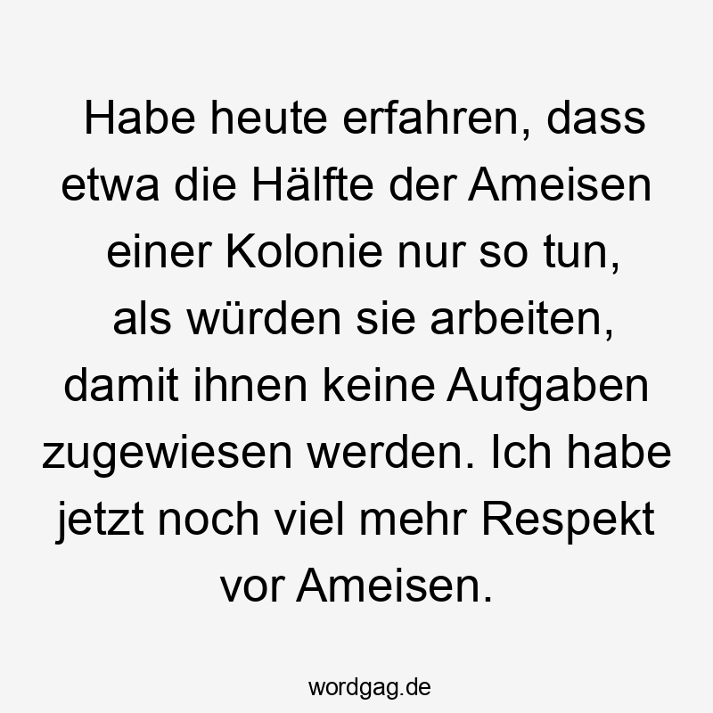 Habe heute erfahren, dass etwa die Hälfte der Ameisen einer Kolonie nur so tun, als würden sie arbeiten, damit ihnen keine Aufgaben zugewiesen werden. Ich habe jetzt noch viel mehr Respekt vor Ameisen.