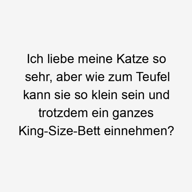 Lustige Sprüche: Bett - Ich liebe meine Katze so sehr, aber wie zum Teufel kann sie so klein sein und trotzdem ein ganzes King-Size-Bett einnehmen?