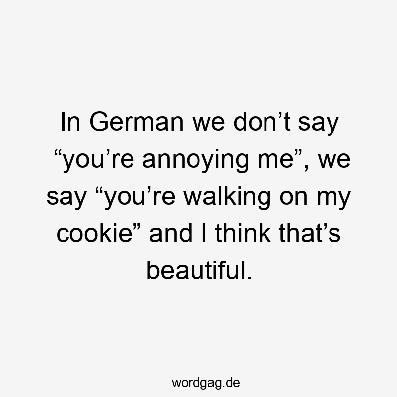 Lustige Cookie Sprüche - In German we don’t say “you’re annoying me”, we say “you’re walking on my cookie” and I think that’s beautiful.