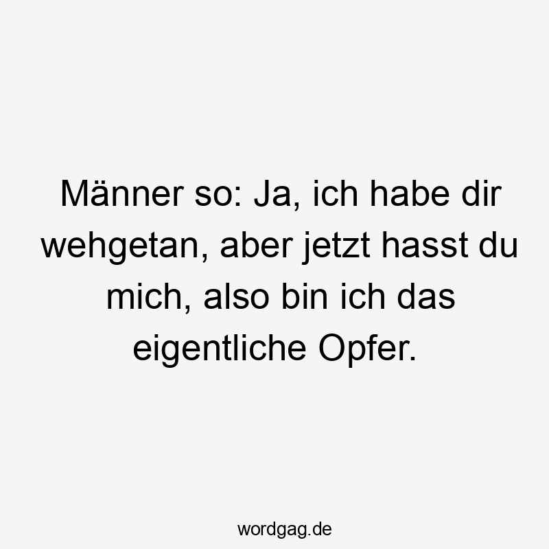  Lustige Sprüche: Ja - Männer so: Ja, ich habe dir wehgetan, aber jetzt hasst du mich, also bin ich das eigentliche Opfer.