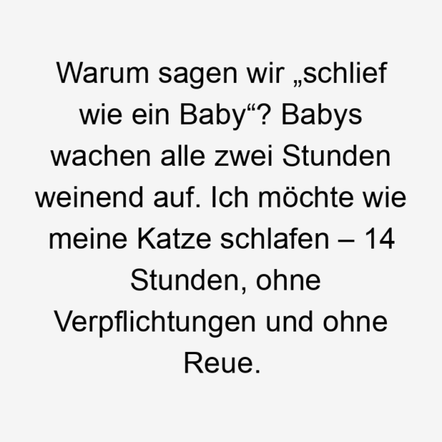 Witz - Warum sagen wir „schlief wie ein Baby“? Babys wachen alle zwei Stunden weinend auf. Ich möchte wie meine Katze schlafen – 14 Stunden, ohne Verpflichtungen und ohne Reue.