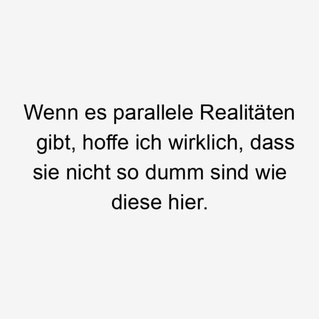 Wenn es parallele Realitäten gibt, hoffe ich wirklich, dass sie nicht so dumm sind wie diese hier.