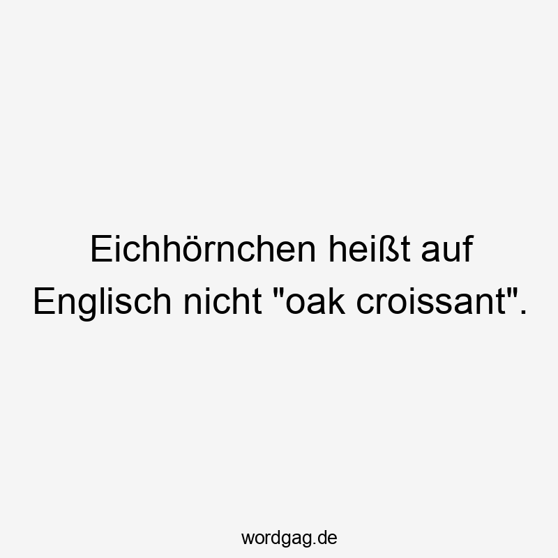  Lustige Sprüche: Eichhörnchen - Eichhörnchen heißt auf Englisch nicht „oak croissant“.
