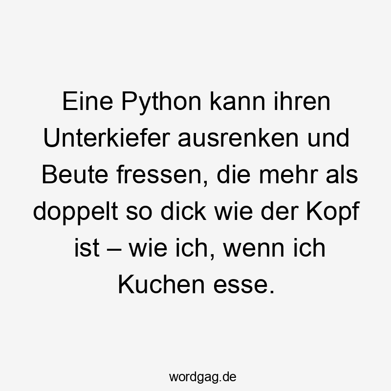 Eine Python kann ihren Unterkiefer ausrenken und Beute fressen, die mehr als doppelt so dick wie der Kopf ist – wie ich, wenn ich Kuchen esse.