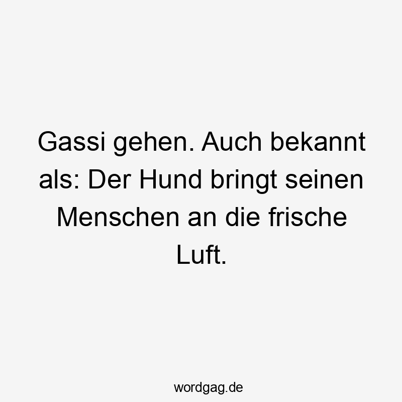 Lustige Sprüche: an - Gassi gehen. Auch bekannt als: Der Hund bringt seinen Menschen an die frische Luft.