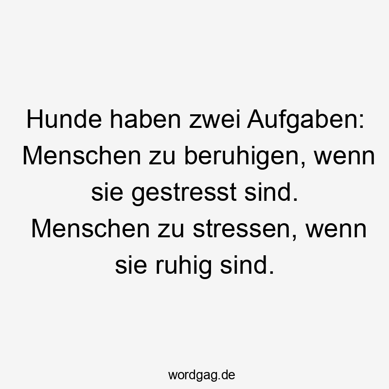 Lustige Sprüche: Alltag - Hunde haben zwei Aufgaben: Menschen zu beruhigen, wenn sie gestresst sind. Menschen zu stressen, wenn sie ruhig sind.