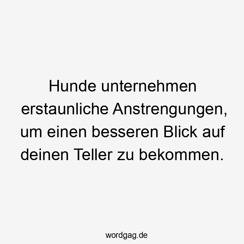 Hunde unternehmen erstaunliche Anstrengungen, um einen besseren Blick auf deinen Teller zu bekommen.
