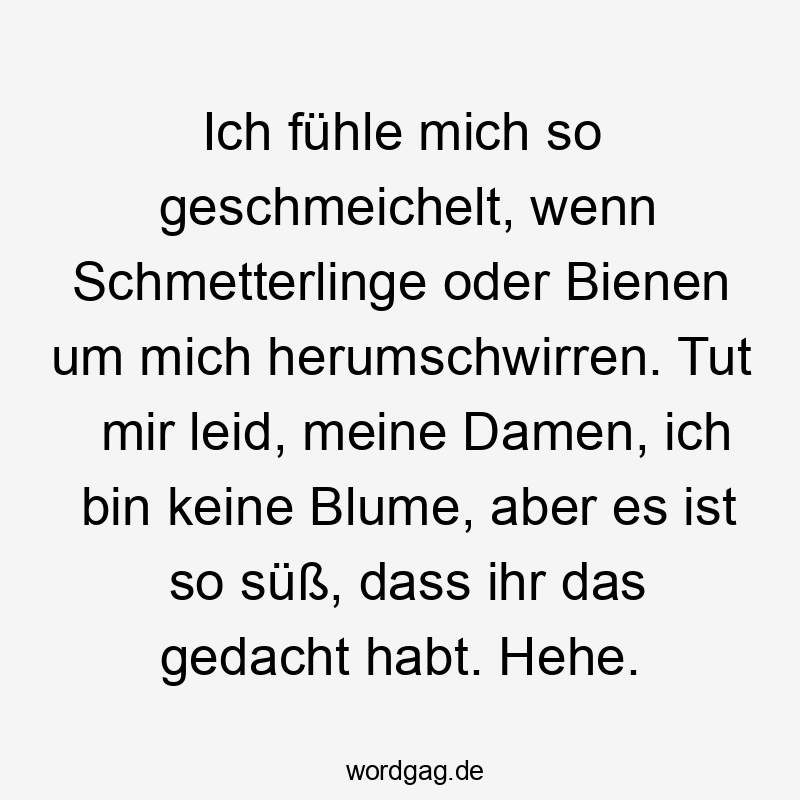  Lustige Sprüche: So - Ich fühle mich so geschmeichelt, wenn Schmetterlinge oder Bienen um mich herumschwirren. Tut mir leid, meine Damen, ich bin keine Blume, aber es ist so süß, dass ihr das gedacht habt. Hehe.