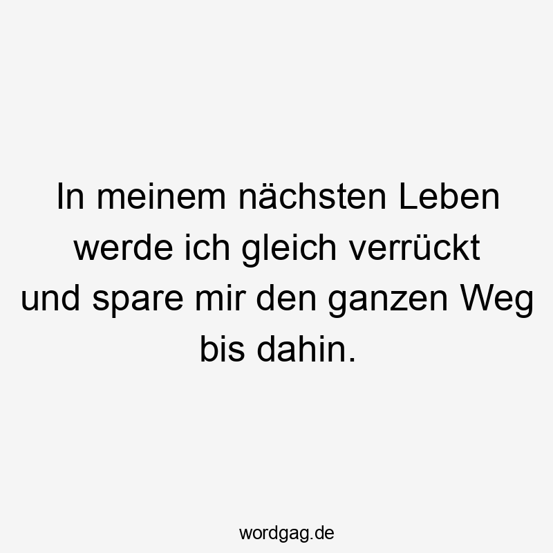 In meinem nächsten Leben werde ich gleich verrückt und spare mir den ganzen Weg bis dahin.