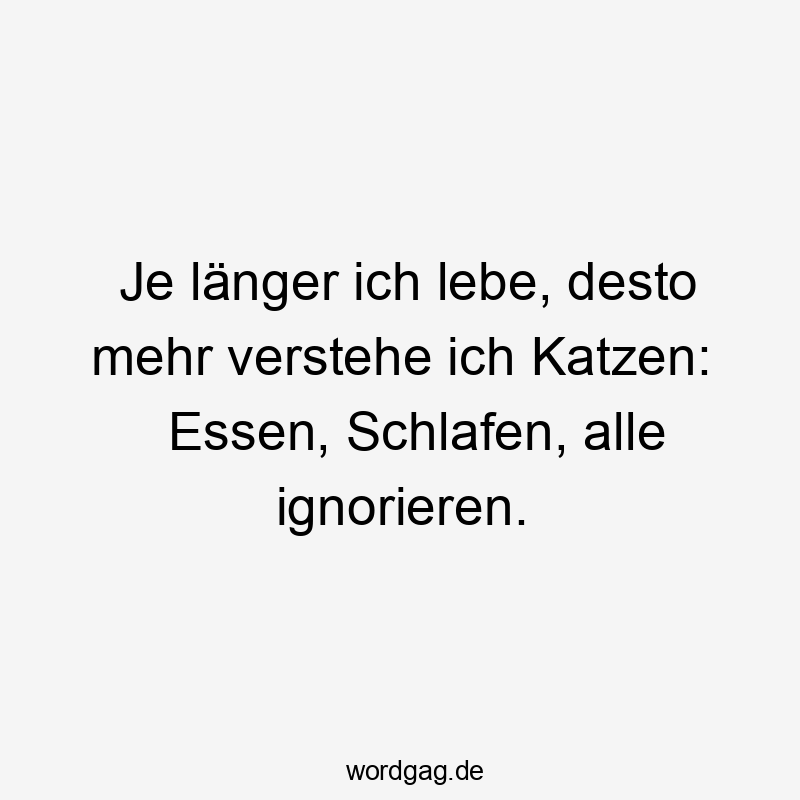 Je länger ich lebe, desto mehr verstehe ich Katzen: Essen, Schlafen, alle ignorieren.
