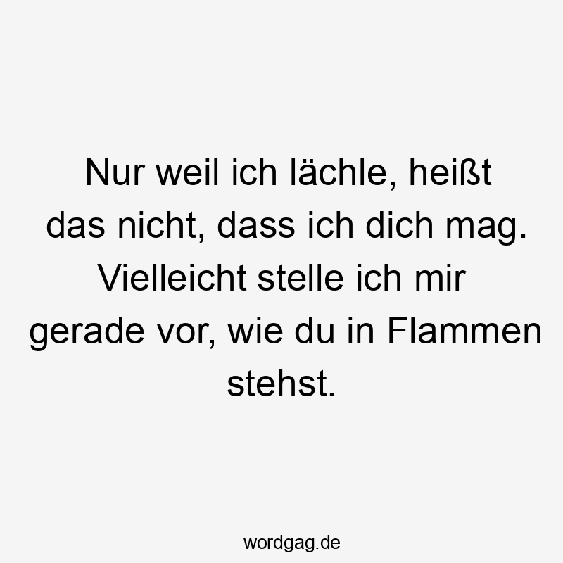 Nur weil ich lächle, heißt das nicht, dass ich dich mag. Vielleicht stelle ich mir gerade vor, wie du in Flammen stehst.