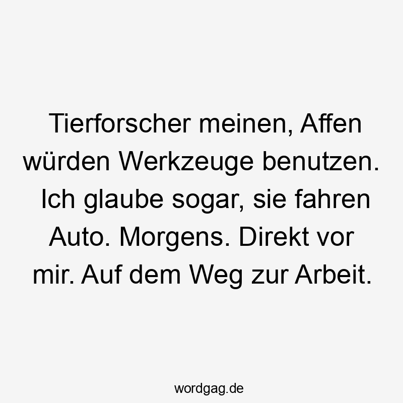 Tierforscher meinen, Affen würden Werkzeuge benutzen. Ich glaube sogar, sie fahren Auto. Morgens. Direkt vor mir. Auf dem Weg zur Arbeit.