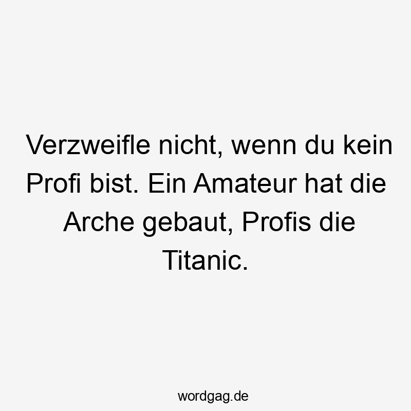 Lustige Sprüche: Bau - Verzweifle nicht, wenn du kein Profi bist. Ein Amateur hat die Arche gebaut, Profis die Titanic.