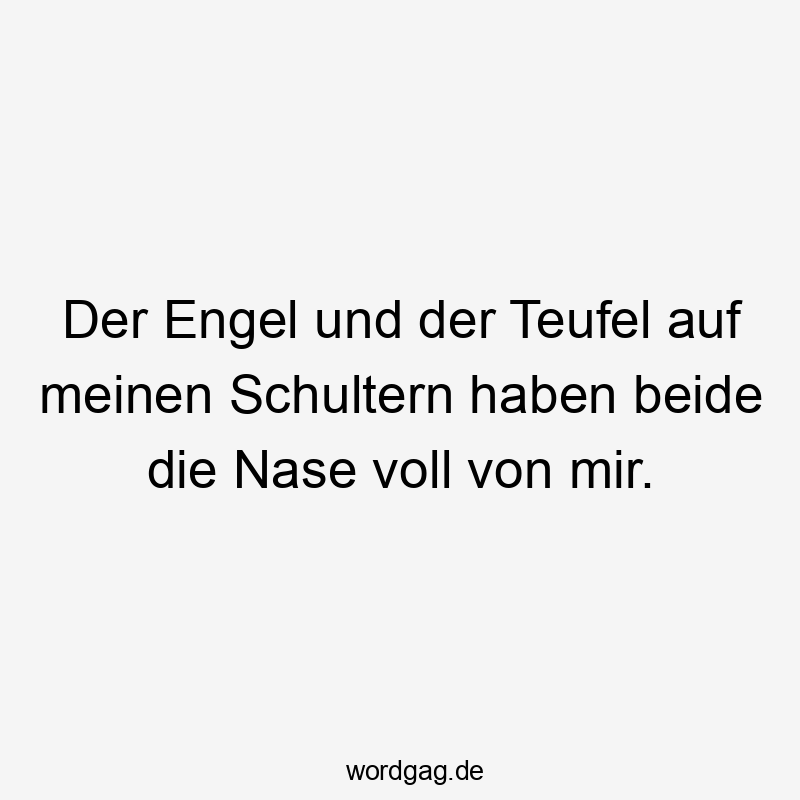 Der Engel und der Teufel auf meinen Schultern haben beide die Nase voll von mir.