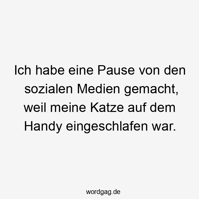 Ich habe eine Pause von den sozialen Medien gemacht, weil meine Katze auf dem Handy eingeschlafen war.