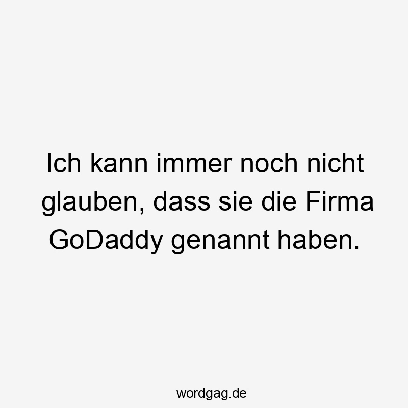 Ich kann immer noch nicht glauben, dass sie die Firma GoDaddy genannt haben.