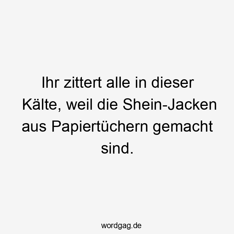 Ihr zittert alle in dieser Kälte, weil die Shein-Jacken aus Papiertüchern gemacht sind.