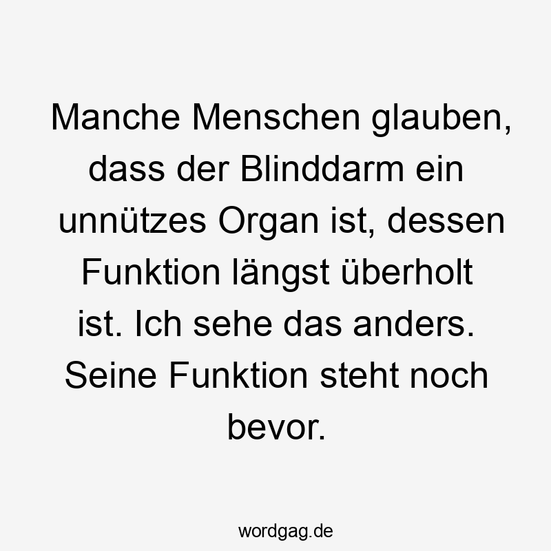 Manche Menschen glauben, dass der Blinddarm ein unnützes Organ ist, dessen Funktion längst überholt ist. Ich sehe das anders. Seine Funktion steht noch bevor.
