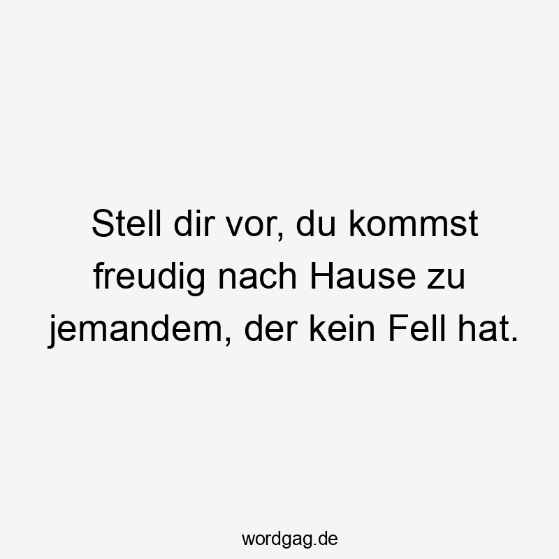 Stell dir vor, du kommst freudig nach Hause zu jemandem, der kein Fell hat.