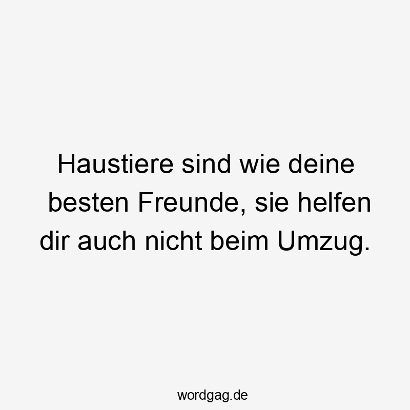 Haustiere sind wie deine besten Freunde, sie helfen dir auch nicht beim Umzug.