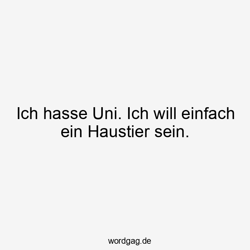 Ich hasse Uni. Ich will einfach ein Haustier sein.