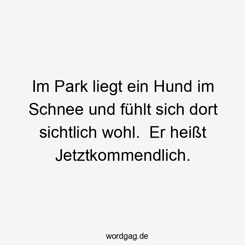 Im Park liegt ein Hund im Schnee und fühlt sich dort sichtlich wohl. Er heißt Jetztkommendlich.