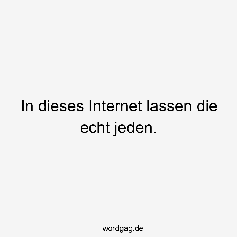In dieses Internet lassen die echt jeden.