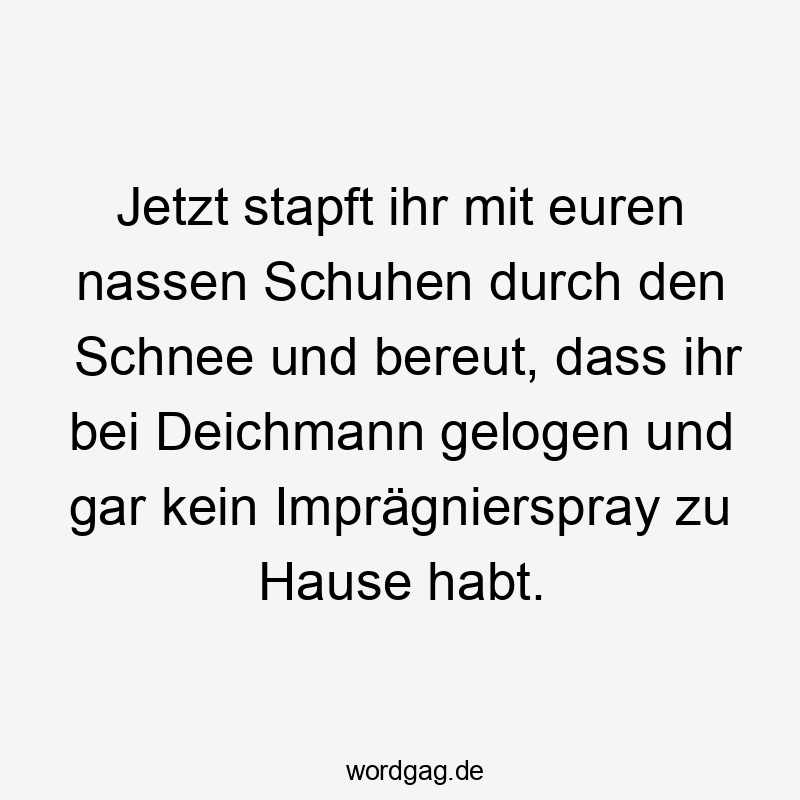 Jetzt stapft ihr mit euren nassen Schuhen durch den Schnee und bereut, dass ihr bei Deichmann gelogen und gar kein Imprägnierspray zu Hause habt.